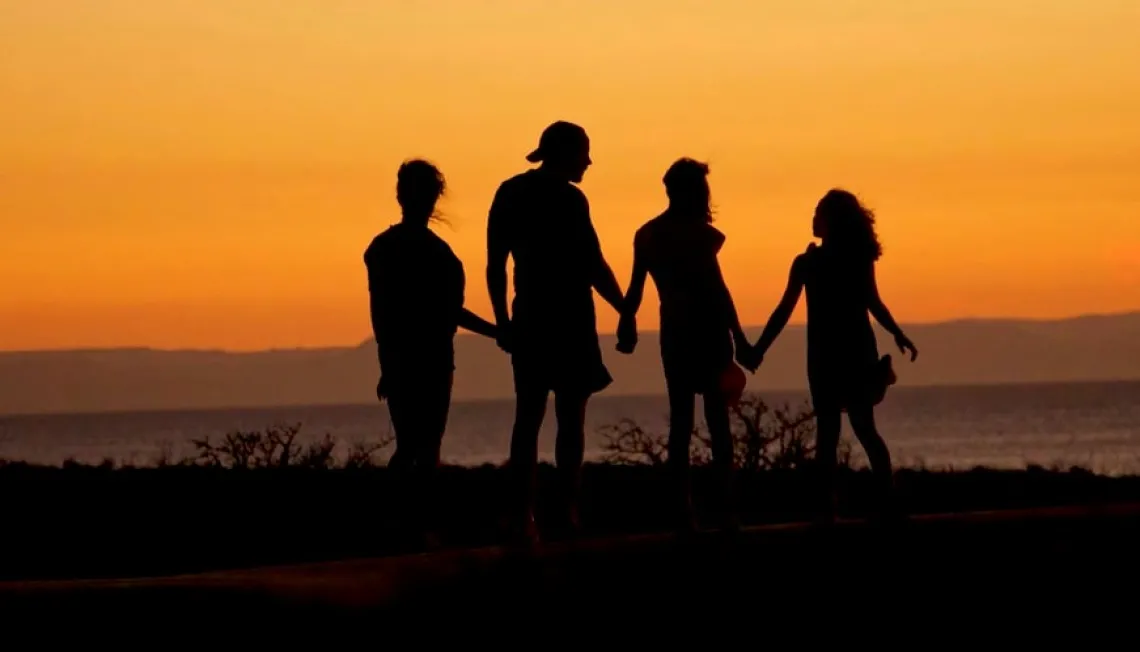 Silhouettes of four people holding hands facing sunset